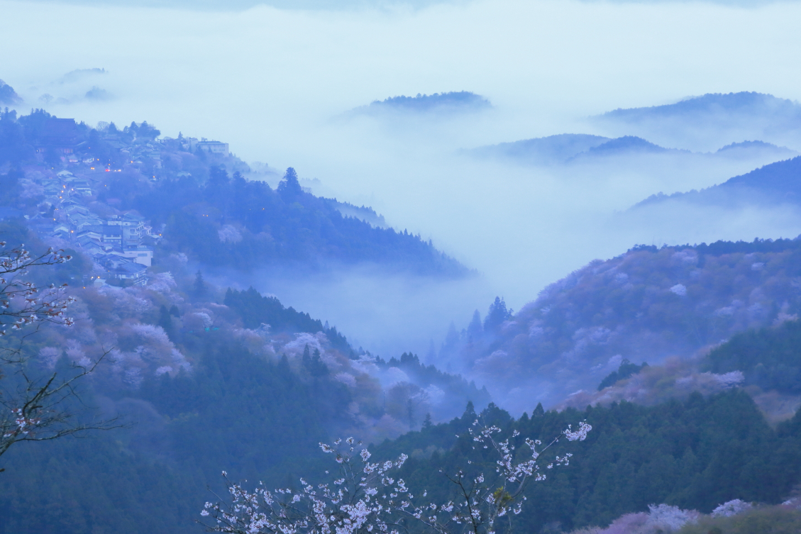 空海 祈りの絶景 #1 金峯山での山林修行 | web太陽 ― webtaiyo ―