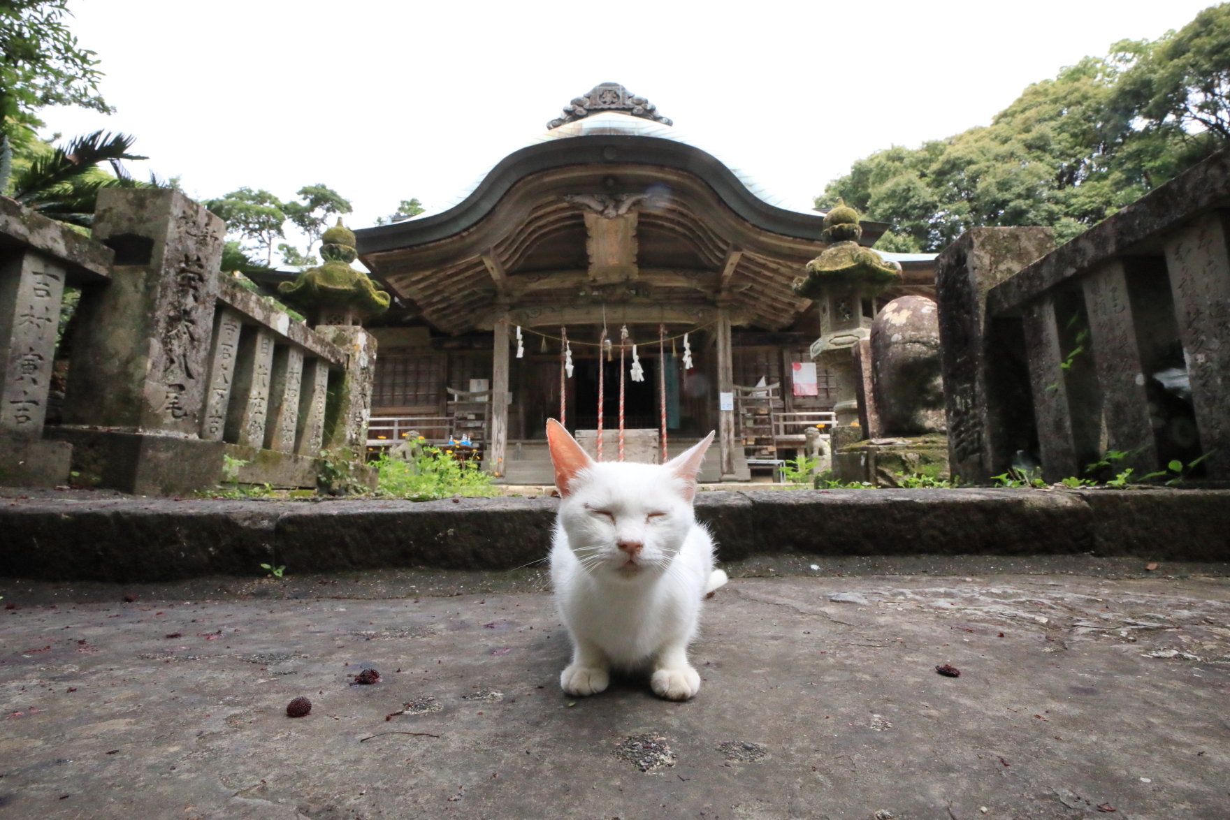 琴平 神社